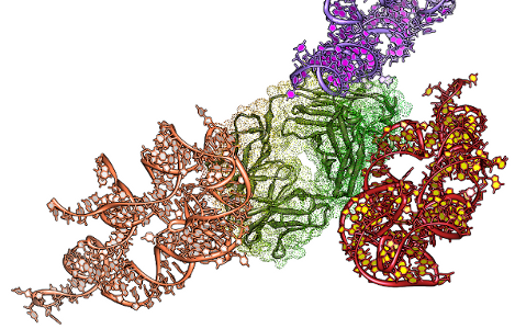 Protein-RNA docking benchmark v1.0